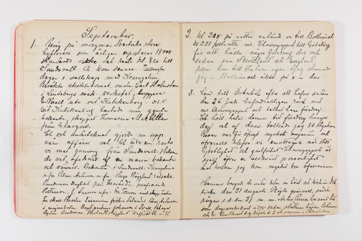 Dagbok från 1902–1903 omfattande 162 skrivna sidor samt en stämplingslängd. Inbunden med vaxdukspärm. Skriven av bonden, sjömannen och godtemplaren Per Svensson (1863–). Denne var gift med Kerstin Persdotter i Östergården (Österböle nr 2) i Rengsjö socken. Anteckningarna berör arbete, resor, väder osv. Dagboken ingår i en samling på 8 volymer och fanns vid digitaliseringstillfället i privat ägo inom släkten.