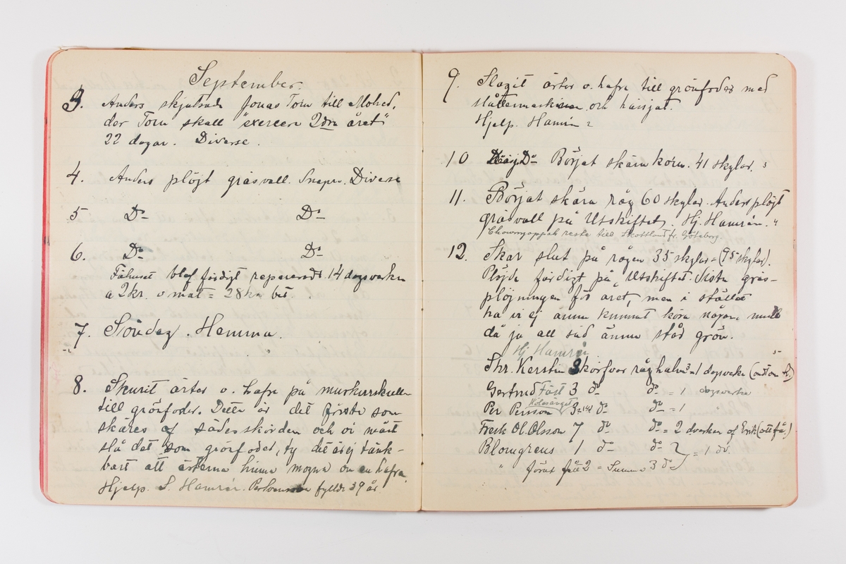 Dagbok från 1902–1903 omfattande 162 skrivna sidor samt en stämplingslängd. Inbunden med vaxdukspärm. Skriven av bonden, sjömannen och godtemplaren Per Svensson (1863–). Denne var gift med Kerstin Persdotter i Östergården (Österböle nr 2) i Rengsjö socken. Anteckningarna berör arbete, resor, väder osv. Dagboken ingår i en samling på 8 volymer och fanns vid digitaliseringstillfället i privat ägo inom släkten.