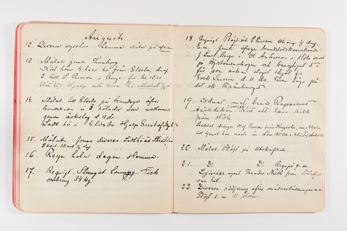 Dagbok från 1902–1903 omfattande 162 skrivna sidor samt en stämplingslängd. Inbunden med vaxdukspärm. Skriven av bonden, sjömannen och godtemplaren Per Svensson (1863–). Denne var gift med Kerstin Persdotter i Östergården (Österböle nr 2) i Rengsjö socken. Anteckningarna berör arbete, resor, väder osv. Dagboken ingår i en samling på 8 volymer och fanns vid digitaliseringstillfället i privat ägo inom släkten.