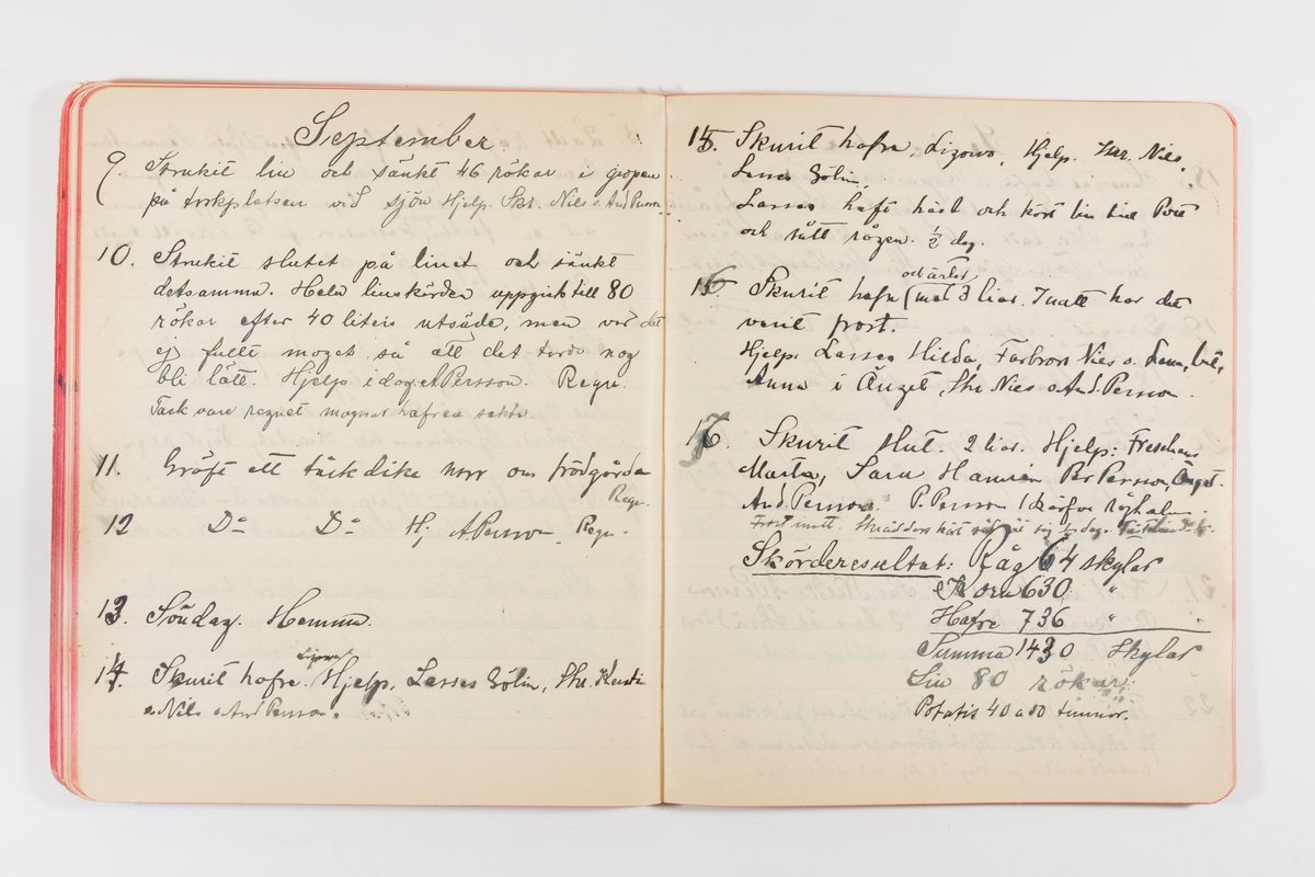 Dagbok från 1902–1903 omfattande 162 skrivna sidor samt en stämplingslängd. Inbunden med vaxdukspärm. Skriven av bonden, sjömannen och godtemplaren Per Svensson (1863–). Denne var gift med Kerstin Persdotter i Östergården (Österböle nr 2) i Rengsjö socken. Anteckningarna berör arbete, resor, väder osv. Dagboken ingår i en samling på 8 volymer och fanns vid digitaliseringstillfället i privat ägo inom släkten.