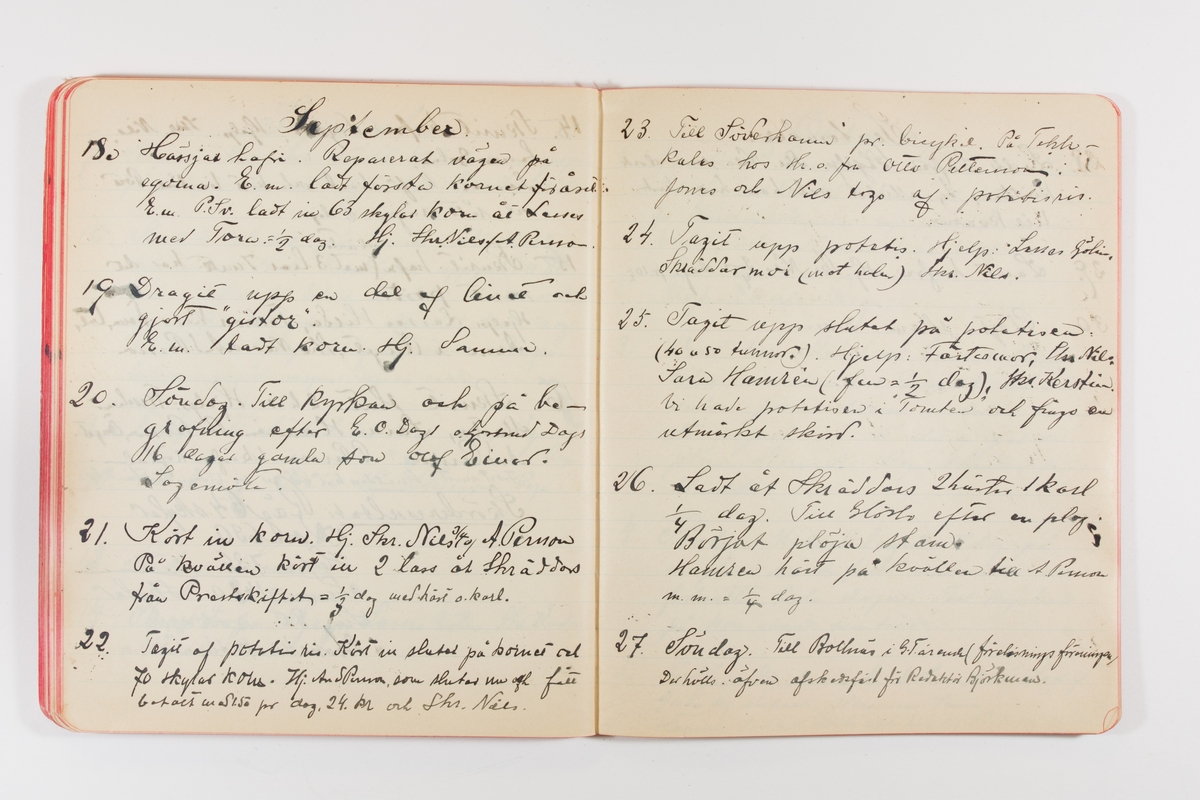 Dagbok från 1902–1903 omfattande 162 skrivna sidor samt en stämplingslängd. Inbunden med vaxdukspärm. Skriven av bonden, sjömannen och godtemplaren Per Svensson (1863–). Denne var gift med Kerstin Persdotter i Östergården (Österböle nr 2) i Rengsjö socken. Anteckningarna berör arbete, resor, väder osv. Dagboken ingår i en samling på 8 volymer och fanns vid digitaliseringstillfället i privat ägo inom släkten.