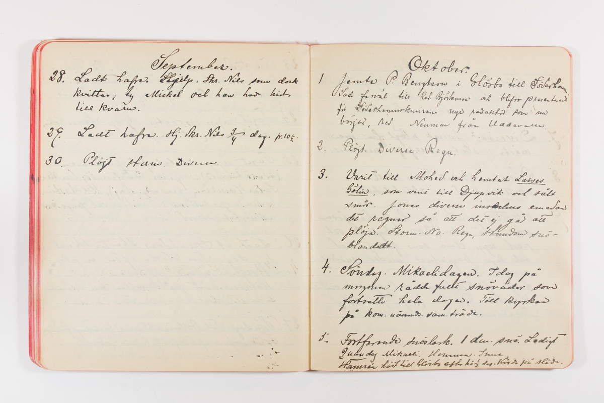 Dagbok från 1902–1903 omfattande 162 skrivna sidor samt en stämplingslängd. Inbunden med vaxdukspärm. Skriven av bonden, sjömannen och godtemplaren Per Svensson (1863–). Denne var gift med Kerstin Persdotter i Östergården (Österböle nr 2) i Rengsjö socken. Anteckningarna berör arbete, resor, väder osv. Dagboken ingår i en samling på 8 volymer och fanns vid digitaliseringstillfället i privat ägo inom släkten.