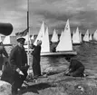 C-kanoter under Saltsjöregattan 1942.