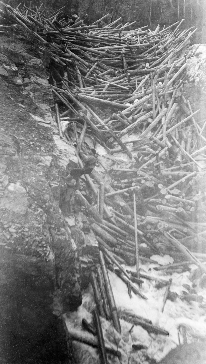 Stor tømmervase i Fallet i Flena i Ytre Rendalen våren 1937.  Fotografiet er tatt i motstrøms retning, mot sjølve fossefallet, der tømmerstokkene ligger fastkilt i sprikende retninger.  Mellom stokkenskimtes også det kvitbrusende elvevannet som presser seg fram.  I øverkant av bildet kan vi ane hvordan haugen «bygger seg» oppover i vassdraget etter hvert som nytt løstømmer når haugen.  Om lag midt i bildet ser en hvordan en av tømmerfløterne er i ferd med å klatre opp fra fossen etter å ha plassert en dynamittladning i nærheten av bandstokken.  Mannen støtter beina mot den steile og opprevne bergflata til venstre for fossen og arbeider seg sidevegs og oppover ved å flytte hendene langs ei line som var spent på tvers av elveleiet.  Kopien av dette fotografiet i album GF 29 er dessverre noe grått, noe som antakelig gjenspeiler dårlig opptakslys som har gitt et «tynt» negativ.  

Andre faser i arbeidet med å få plassert sprengladningen framgår av SJF. 1990-01544 og SJF. 1990-01545.