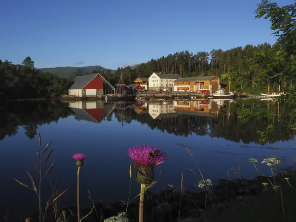 Sunnmøre museum