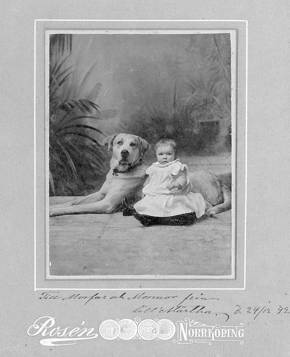 I profilerad ram i svart och guld: Märta Bjökander, född Bolin, med hund, 1892. Passepartout H. 28, Br. 24 cm. Dagermått 13,5 x 10 cm. Med glas.