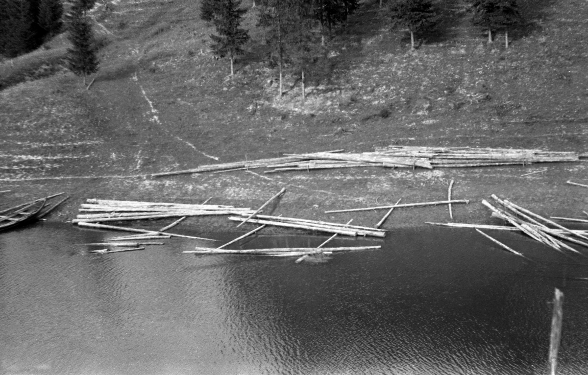 Søkketømmer som var hentet opp fra strandsona i innsjøen Øyeren etter at flommen i 1937 var gått tilbake. Dette var tømmer som var så fuktig etter å ha ligget lenge i fløtingsvassdraget at det sank. Når det kom til syne etter at vannstanden gikk ned, slik som på dette fotografiet, kunne det trekkes opp på land slik at det tørket litt og gjenvant flyteevnen. Deretter kunne det fløtes videre nedover vassdraget. Det året dette fotografiet ble tatt var det innmeldt 10 205 504 tømmerstokker til fløting i Glommavassdraget. Glomma fellesfløtingsforening foretok nøyaktige tellinger av det tømmeret som nådde fram til lensene nederst i vassdraget, og etter 1937-sesongen kunne organisasjonen konstatere at 639 315 stokker, drøyt 6 prosent, var «inneliggende». Dette dreide seg dels om søkketømmer, som vi ser på dette fotografiet, dels om virke det av andre grunner fortsatt lå igjen langs vassdraget. Bildet oppgis å være tatt i Trøgstad,