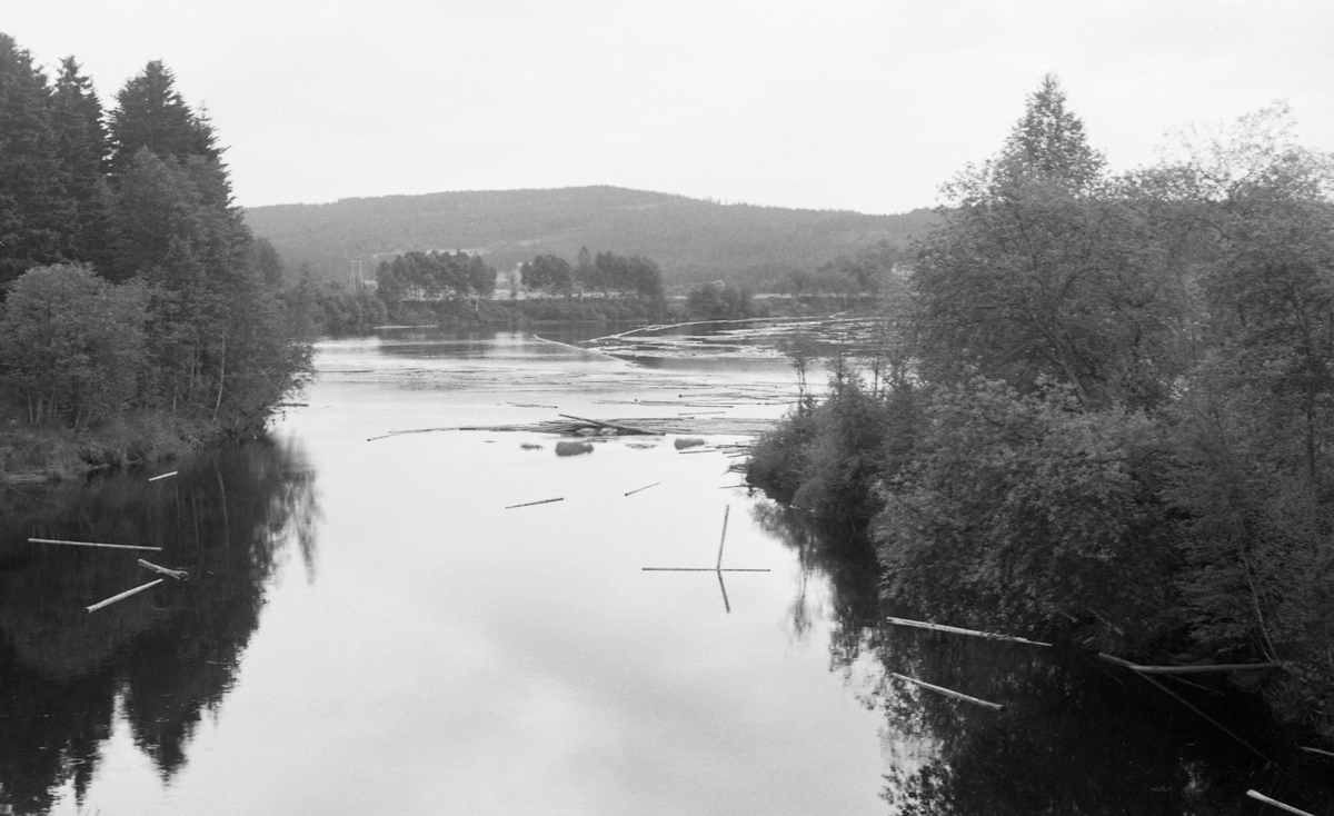 Fløtingstømmer på blankt vannspeil, fotografert fra Skarnes bru i Sør-Odal i Hedmark i 1963. Her gjør Glomma en kraftig sving. Elva kommer fra sørøst og renner videre mot sørvest. Dette fotografiet er tatt i motstrøms retning mot et stilleflytende elveparti, med et sund mellom elvebredden og ei lita øy i forgrunnen. I bakgrunnen ser vi et vannspeil med fløtingstømmer, som tilsynelatende forsøkes hindret fra å drive mot elvebredden i yttersvingen av ei ledelense.