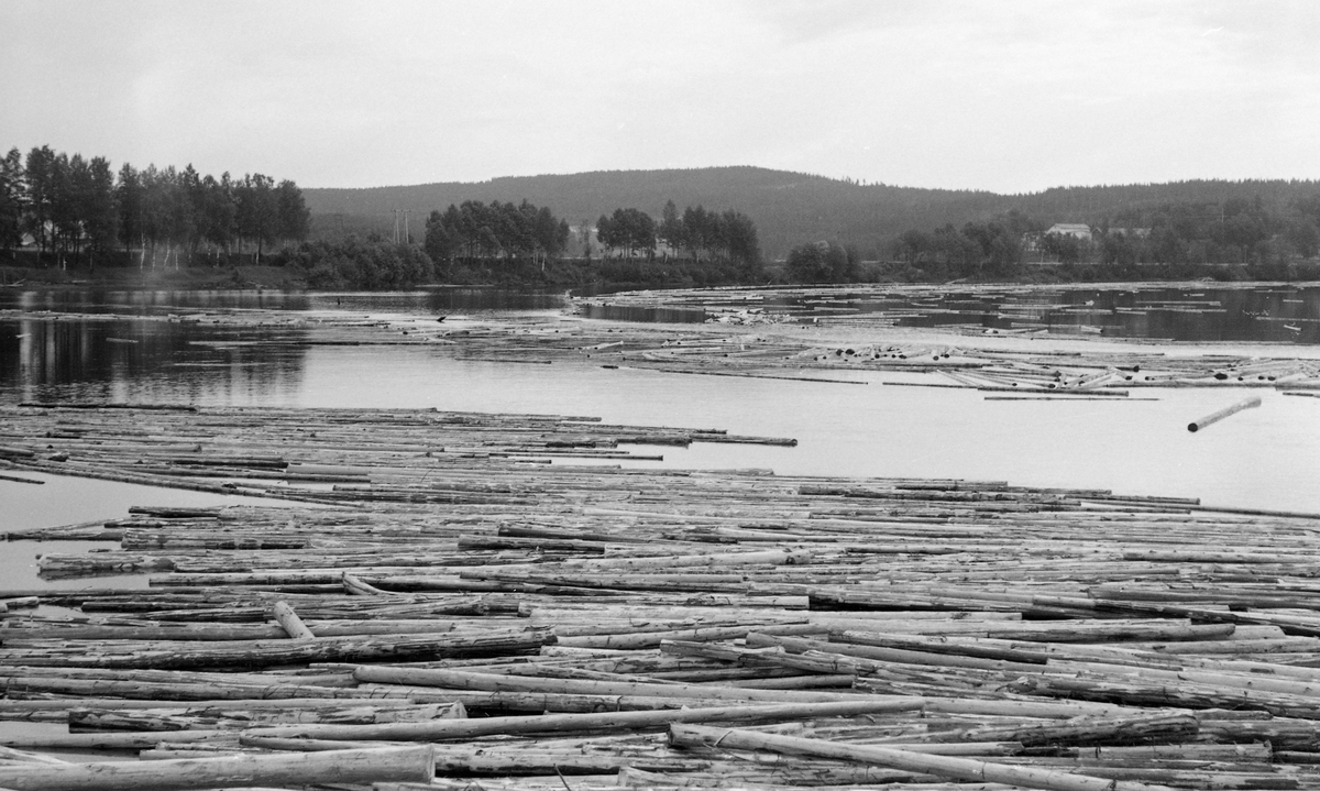 Fløtingstømmer på blankt vannspeil, fotografert fra Skarnes bru i Sør-Odal i Hedmark i 1963. Her gjør Glomma en kraftig sving. Elva kommer fra sørøst og renner videre mot sørvest. Her møttes tømmer fra Østerdalen og Solør, som kom flytende på Glomma,, og tømmer fra Odalen, som kom flytende på Oppstadåa. Dette fotografiet er tatt i motstrøms retning mot et stilleflytende elveparti. I forgrunnen ser vi et vannspeil med fløtingstømmer, der det som på hovedvassdraget tilsynelatende ble forsøkt hindret fra å drive mot elvebredden i yttersvingen av ei ledelense.