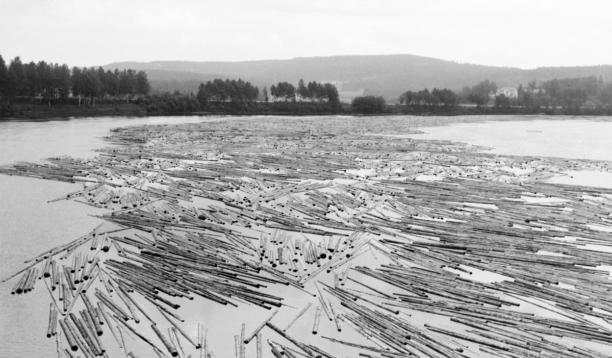 Fløtingstømmer på blankt vannspeil, fotografert fra Skarnes bru i Sør-Odal i Hedmark i 1963. Her gjør Glomma en kraftig sving. Elva kommer fra sørøst og renner videre mot sørvest. Her møttes tømmer fra Østerdalen og Solør, som kom flytende på Glomma,, og tømmer fra Odalen, som kom flytende på Oppstadåa. Dette fotografiet er tatt i motstrøms retning mot et stilleflytende elveparti. I forgrunnen ser vi et vannspeil med fløtingstømmer.