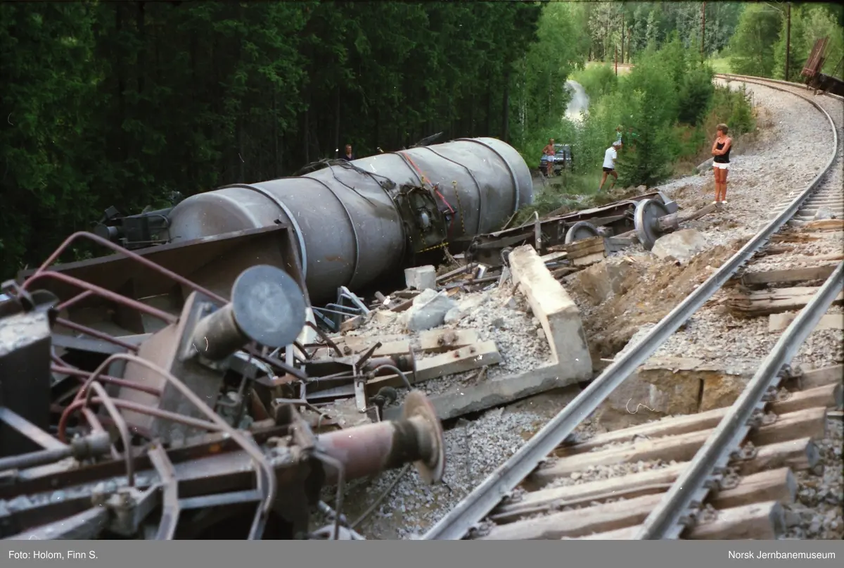Til sammen 13 vogner i godstoget fra Voss til Hønefoss, tog 5532, sporet av ved km 216 mellom Torpo og Gol stasjoner. Årsaken til avsporingen var solslyng