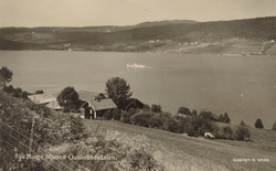 Postkort, mjøsbåt, D/S Skibladner, sett fra Biri mot Ring,