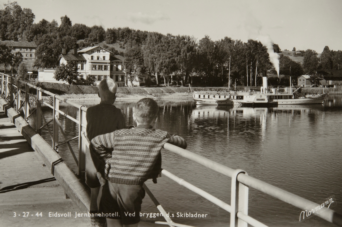 Postkort, Eidsvoll jernbanestasjon, Vorma, Sundbrua, D/S Skibladner ved dampskipsbrygga, 2 gutter i forgrunnen, Jernbanehotellet,