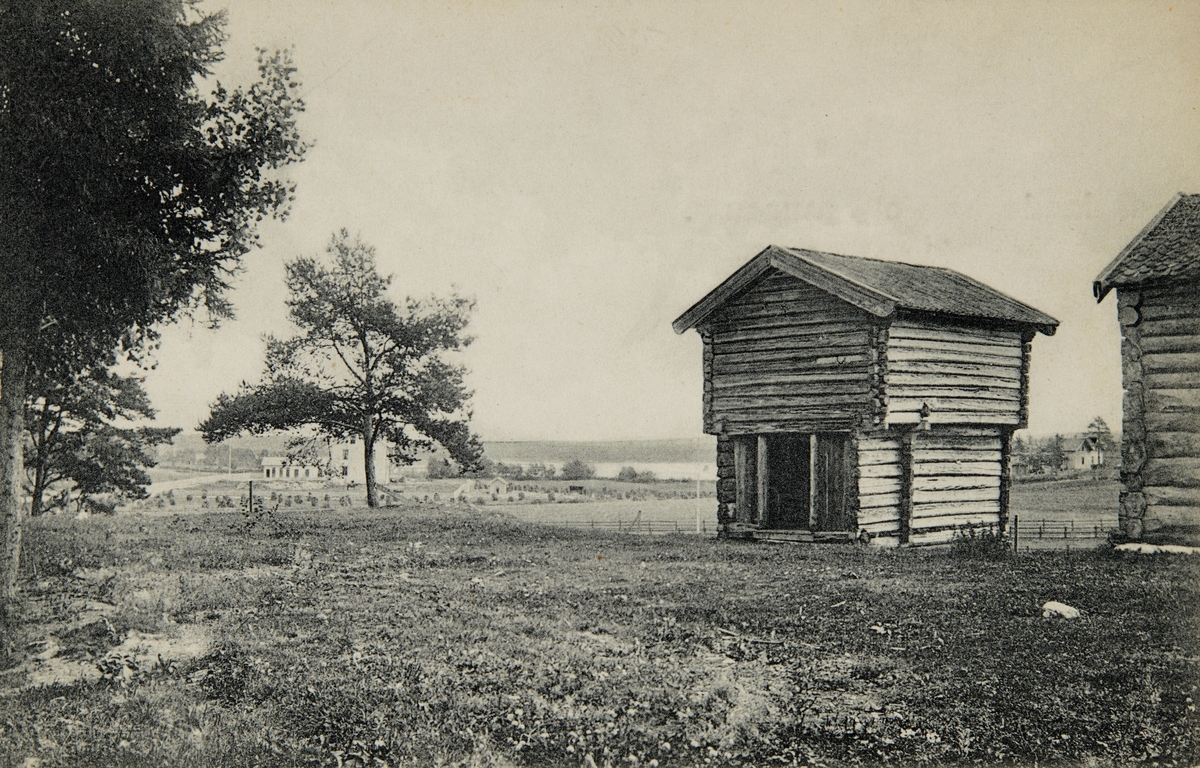 Postkort, Hamar, Utstillingsplassen, Oplandenes Folkemuseum forløper for Hedmarksmuseet, Røsetstabburet fra Furnes, ble flyttet til Domkirkeodden, 