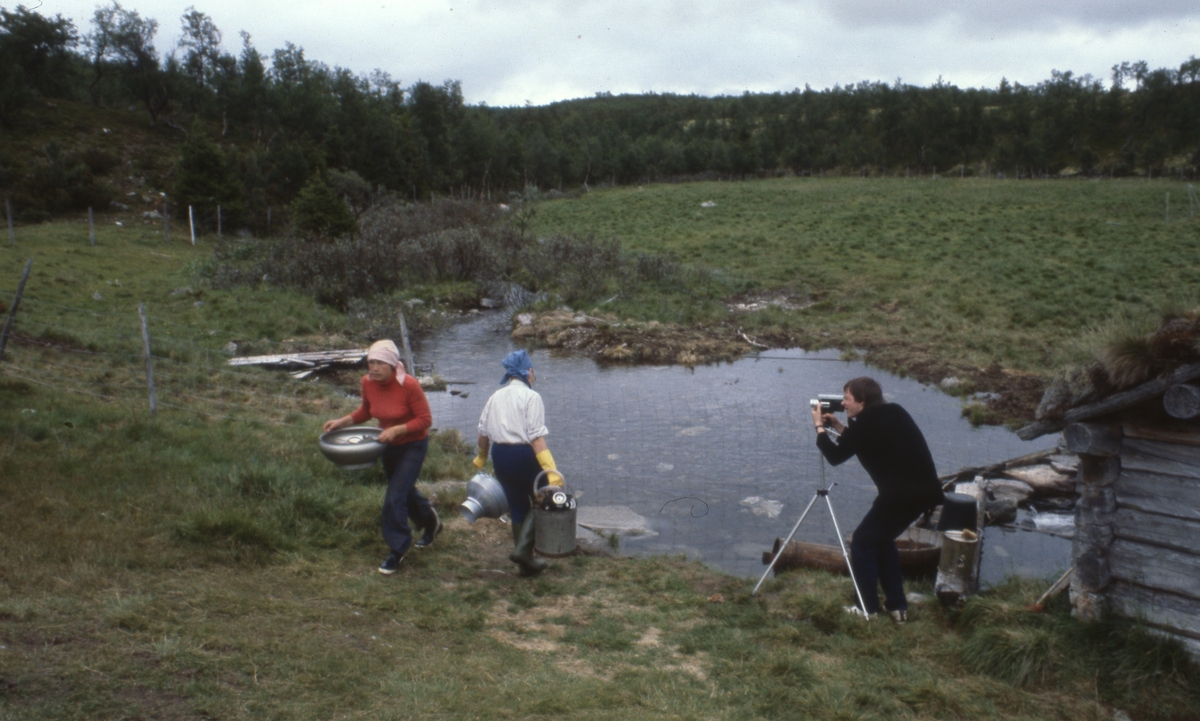 Seterliv Klettdalen