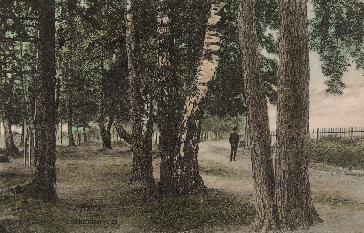 Postkort, Hamar, Ridehusstranda, Storhamarstranda, Strandpromenaden, park, treet Munken,