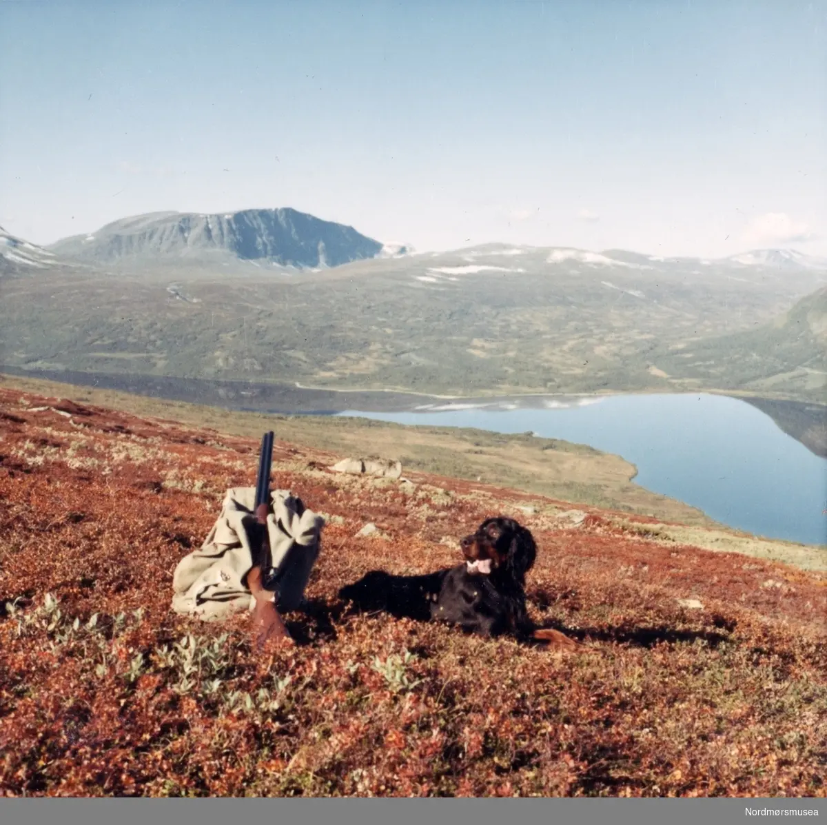 Jaktsesongen starter ved Jevillvatnet i Oppdal kommune. Fra Fru Williams fotoalbum. Eier av originalmaterialet er Gunnar Williams. Fra Nordmøre museums fotosamlinger.