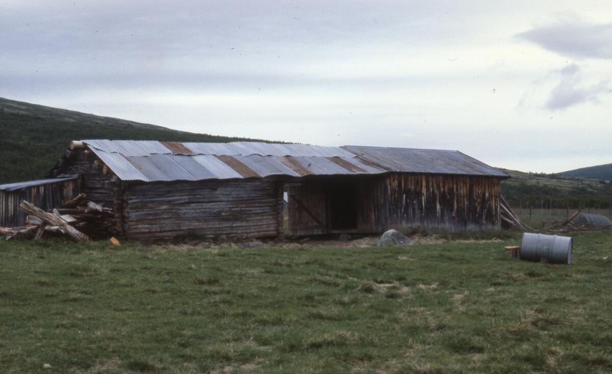 Innerdalen, august 1979. Børli øst. Løe.