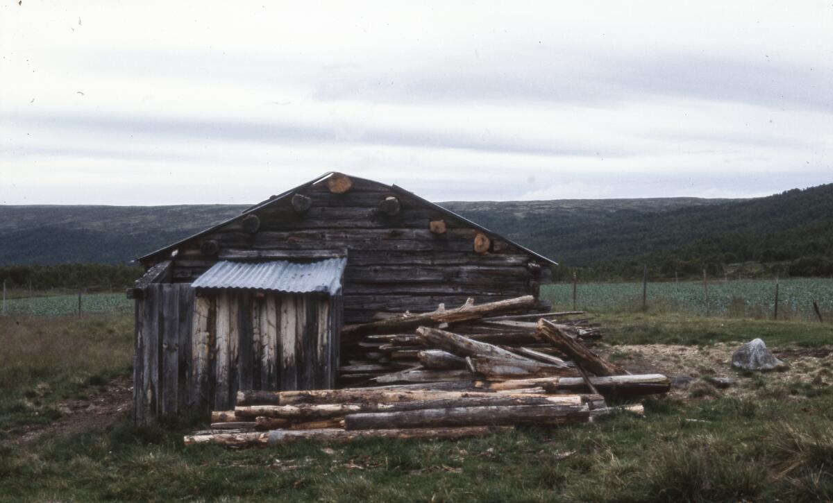 Innerdalen, august 1979. Børli øst. Løe