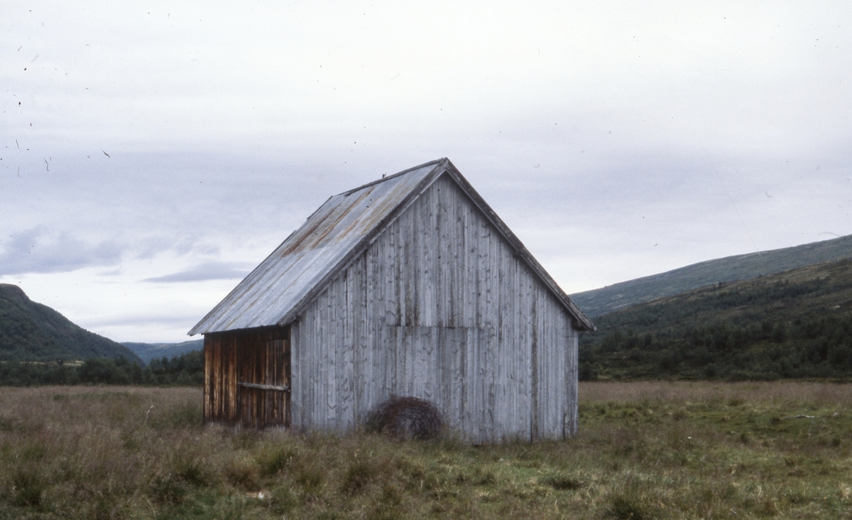 Innerdalen, august 1979. Børli øst. Løe