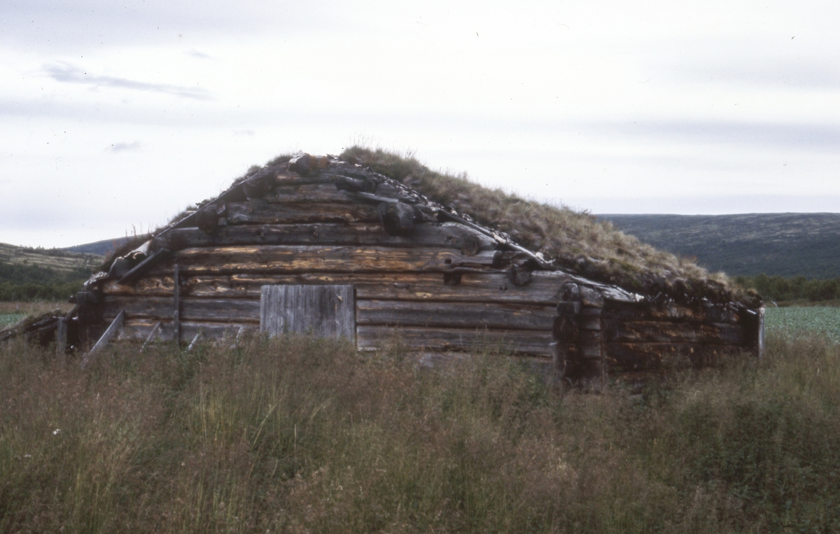 Innerdalen, august 1979. Børli øst. Fjøs.