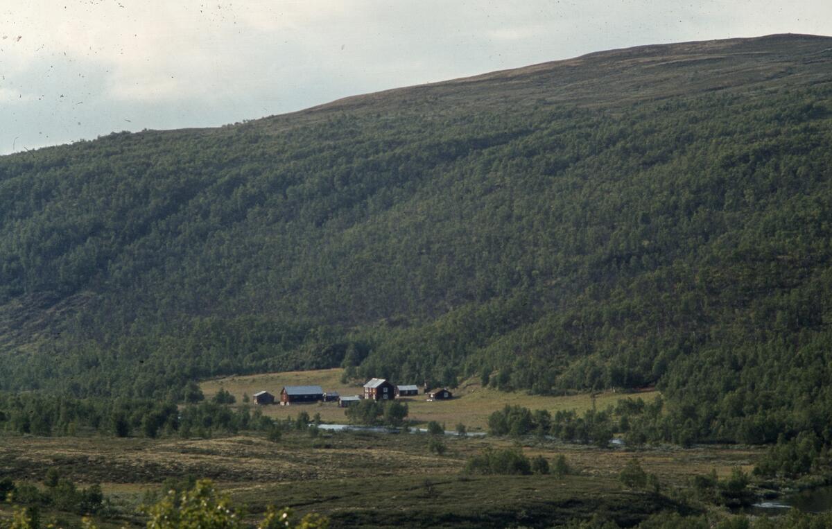 Innerdalen, august 1979.