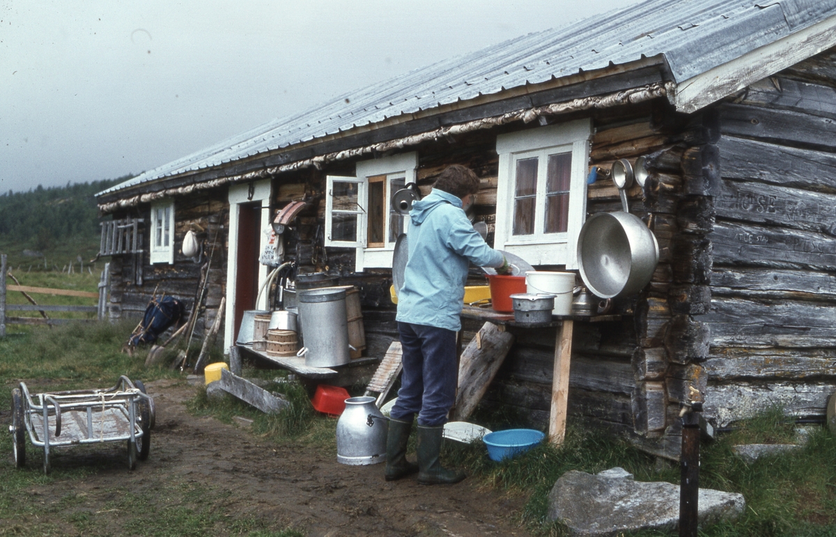 Innerdalen, august 1979.