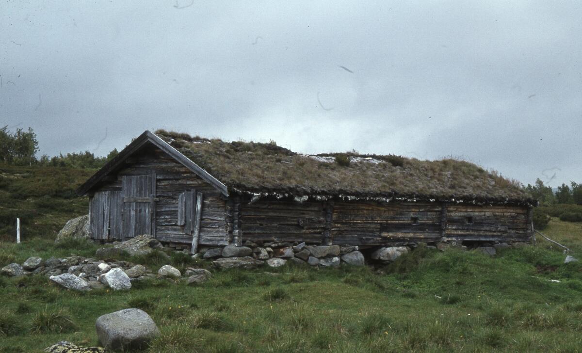 Innerdalen, august 1979.