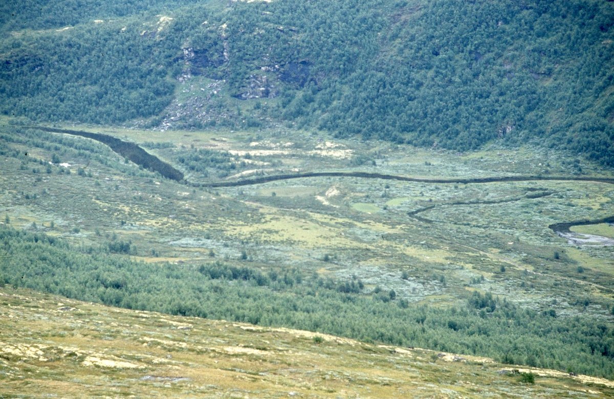 Innerdalen, august 1979.