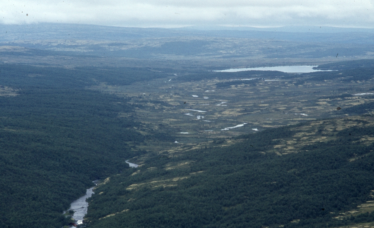 Innerdalen, august 1979.