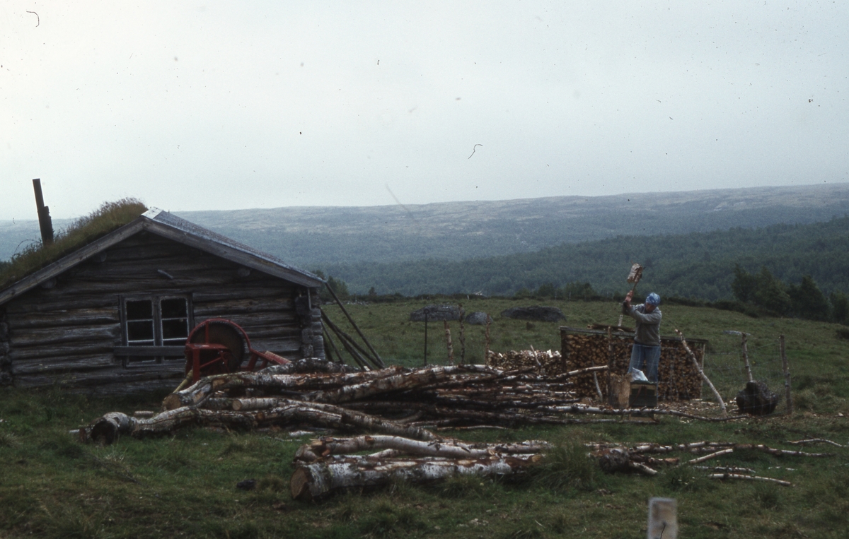 Innerdalen, august 1979.