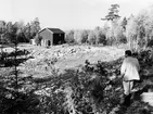 Nybyggnation av tre förråd 1986.

Några blandade bilder från de samtida byggprojekten i Utö läger; livsmedelsförrådet, kokhuset och Värnskolans förråd. 

Bild 1: Den blivande byggplatsen hitom reningsverket beskådas av projektledaren, kapten Staffan Löding vid Fortenheten på regementet.

Bild 2: Staffan Löding och arbetsledaren Kurt Madell ur hantverkargruppen vid Fortenheten.

Bild 3: Maskinföraren Tomas Larpe från Vägavdelningen vid Fortenheten kör lastmaskin och sköter stenkrossen.

Bild 4: Stenkrossen i full gång i grusgropen nära skjutbanan.

Bild 5: Tillverkning av fyllning. Tre skopor sten, en skopa grus och en halv skopa sand blandas.