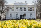 Vänersborgs museum. Påskliljor i Museieparken