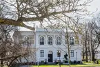 Vänersborgs museum. Magnolian blommar i Museieparken