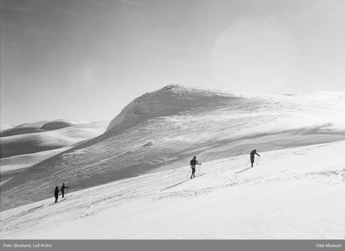 fjell, skiferie, mennesker, skitur