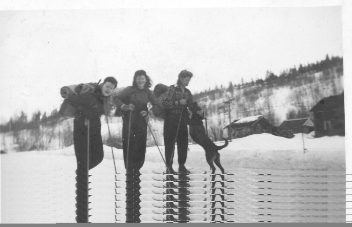 Tre damer på skitur i Maukdalen i Målselv rundt 1944.
