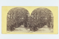 Förste lanstmätare Nils Fredrik Lagerholm och hans hustru An