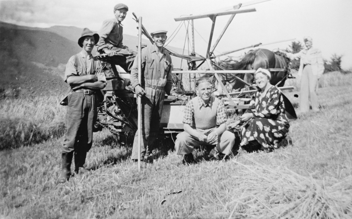 Oppland, Øyer, Tretten, sjølbinder for hest på Øvre Glomstad. Nr 2 foran fra venstre er Ingolf Glomstad som døde i 1955.