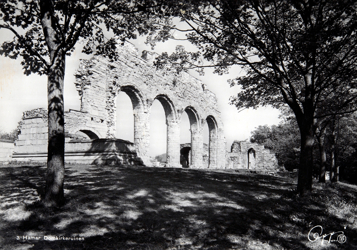 Postkort, Hamar, Domkirkeruinen på Domkirkeodden, Storhamar, Hedmarksmuseet og Domkirkeodden, 