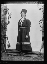 Sørsamiske bilder i arkivet etter Ingulfsvand