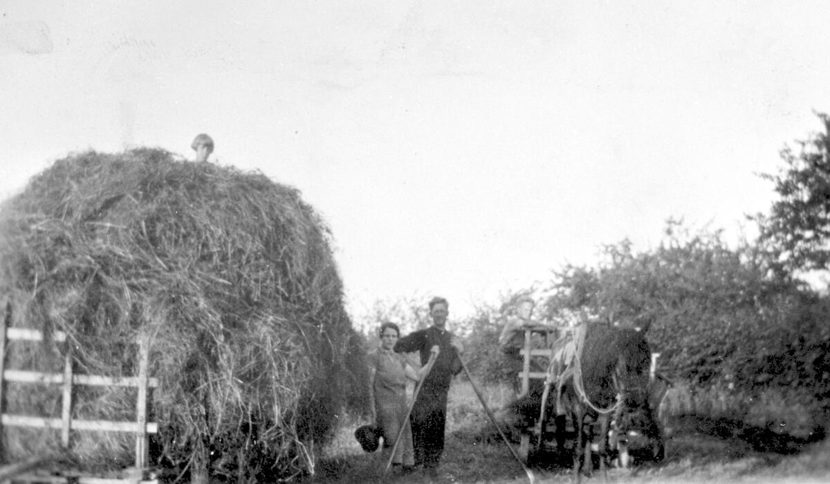 To bilder fra høyonna på Søndre Fossan, gård, høylass, høyvogn, hest, arbeidere, gårdsbruk, 1930- årene