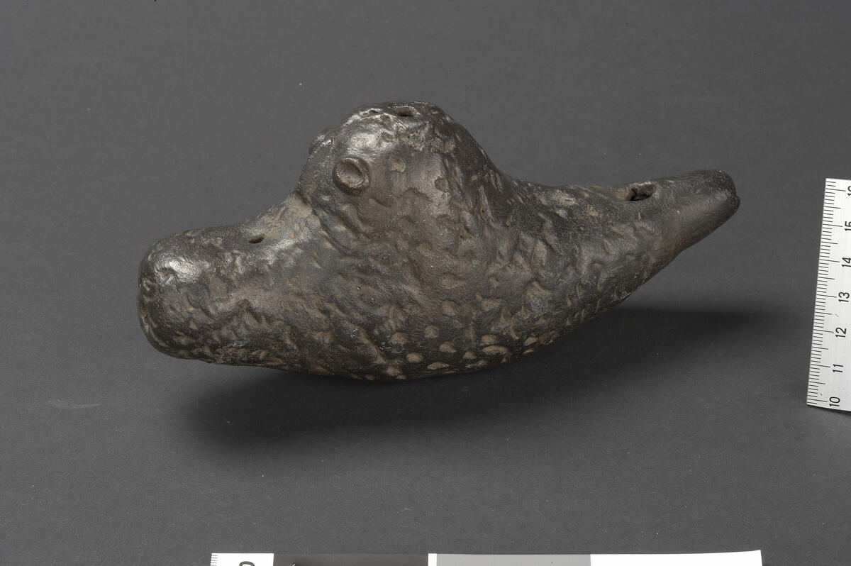 Opprinnelig tekst: Okarina af sort ler, af form omtr. som 32159, men den bredeste ende og det tykke midtparti fremstiller sammen et dyrehode med tyk snude. Længde ca. 18 cm. Fra høilandet omkr. Quito. Utfyllende opplysninger innhentet av Randi Kaarhus i 1989, fra arkeologen Marcelo Villalba ved Museo del Banco Central i Quito. Datering (noe usikker): Perioden med regional integrasjon, 500-1500. Se nr. 32159
