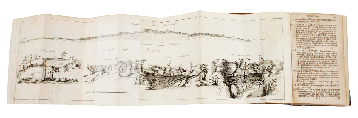 Trådbunden bok. Pappband. Fram- och baksida, med pålimmat brunspräckligt papper. Rygg och hörn klädda i brunt skinn. Bladen ljusbruna med svart text. Insidan med texten: "CARL LINNAEI Wästgöta=Resa på Stiftens högloflige ständers Befallning förättad år 1746..........Stockholm, Uplagd på LARS SALVII kostnad, 1747". Insidan även med utvikbar karta (kopparstick) över "Kinnekullebergen, Heflings kyrka, Hartorps klef, Lilla Brattefors, Stora Brattefors". Bruks- och åldersslitage.

Historik:
Carl von Linne föddes 13 maj 1707 i Råshult, Stenbrohults socken, Småland, död 10 januari 1778 i Uppsala, var en svensk botaniker, läkare, geolog och zoolog som lade grunden till den moderna nomenklaturen inom biologin och den moderna systematiken, som grupperar växter och djur. Många av hans skrifter publicerades på latin och därför återges hans latinska namn som Carolus Linnæus. (Wikipedia)

År 1746 begav sig Carl von Linne på uppdrag av riksdagen ut på den expedition till västra Sverige som året därpå resulterade i Carl Linnaeus Västgöta Resa - ett något missvisande namn eftersom resorna och boken, dessutom omfattar Bohuslän, Dalsland och Värmland.

Boktryckaren Lars Salvius, född 1706 i Stigtomta socken, död 1773, var en svensk boktryckare, bokhandlare och tidningsman. Salvius har varit en av de mest betydelsefulla personerna inom svensk bokhistoria. Innan Salvius tid skedde boktryckningen i en liten skala och bokhandeln dominerades av tyskar. (Wikipedia)