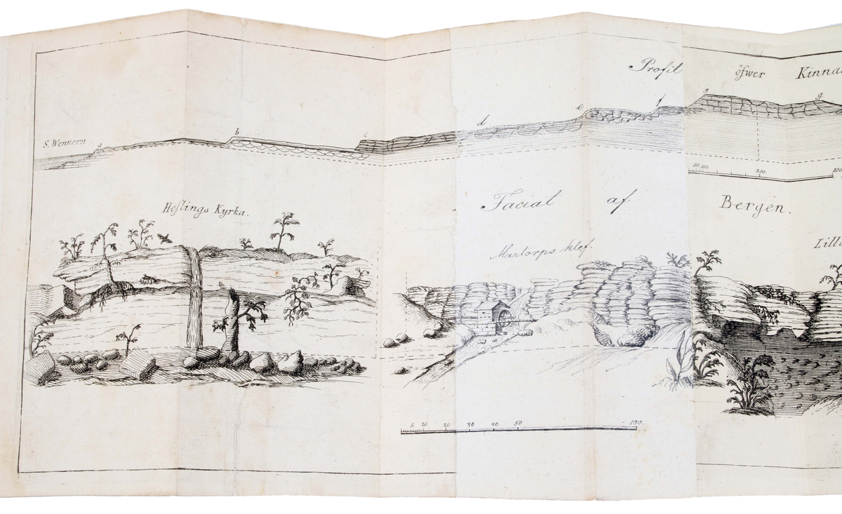 Trådbunden bok. Pappband. Fram- och baksida, med pålimmat brunspräckligt papper. Rygg och hörn klädda i brunt skinn. Bladen ljusbruna med svart text. Insidan med texten: "CARL LINNAEI Wästgöta=Resa på Stiftens högloflige ständers Befallning förättad år 1746..........Stockholm, Uplagd på LARS SALVII kostnad, 1747". Insidan även med utvikbar karta (kopparstick) över "Kinnekullebergen, Heflings kyrka, Hartorps klef, Lilla Brattefors, Stora Brattefors". Bruks- och åldersslitage.

Historik:
Carl von Linne föddes 13 maj 1707 i Råshult, Stenbrohults socken, Småland, död 10 januari 1778 i Uppsala, var en svensk botaniker, läkare, geolog och zoolog som lade grunden till den moderna nomenklaturen inom biologin och den moderna systematiken, som grupperar växter och djur. Många av hans skrifter publicerades på latin och därför återges hans latinska namn som Carolus Linnæus. (Wikipedia)

År 1746 begav sig Carl von Linne på uppdrag av riksdagen ut på den expedition till västra Sverige som året därpå resulterade i Carl Linnaeus Västgöta Resa - ett något missvisande namn eftersom resorna och boken, dessutom omfattar Bohuslän, Dalsland och Värmland.

Boktryckaren Lars Salvius, född 1706 i Stigtomta socken, död 1773, var en svensk boktryckare, bokhandlare och tidningsman. Salvius har varit en av de mest betydelsefulla personerna inom svensk bokhistoria. Innan Salvius tid skedde boktryckningen i en liten skala och bokhandeln dominerades av tyskar. (Wikipedia)