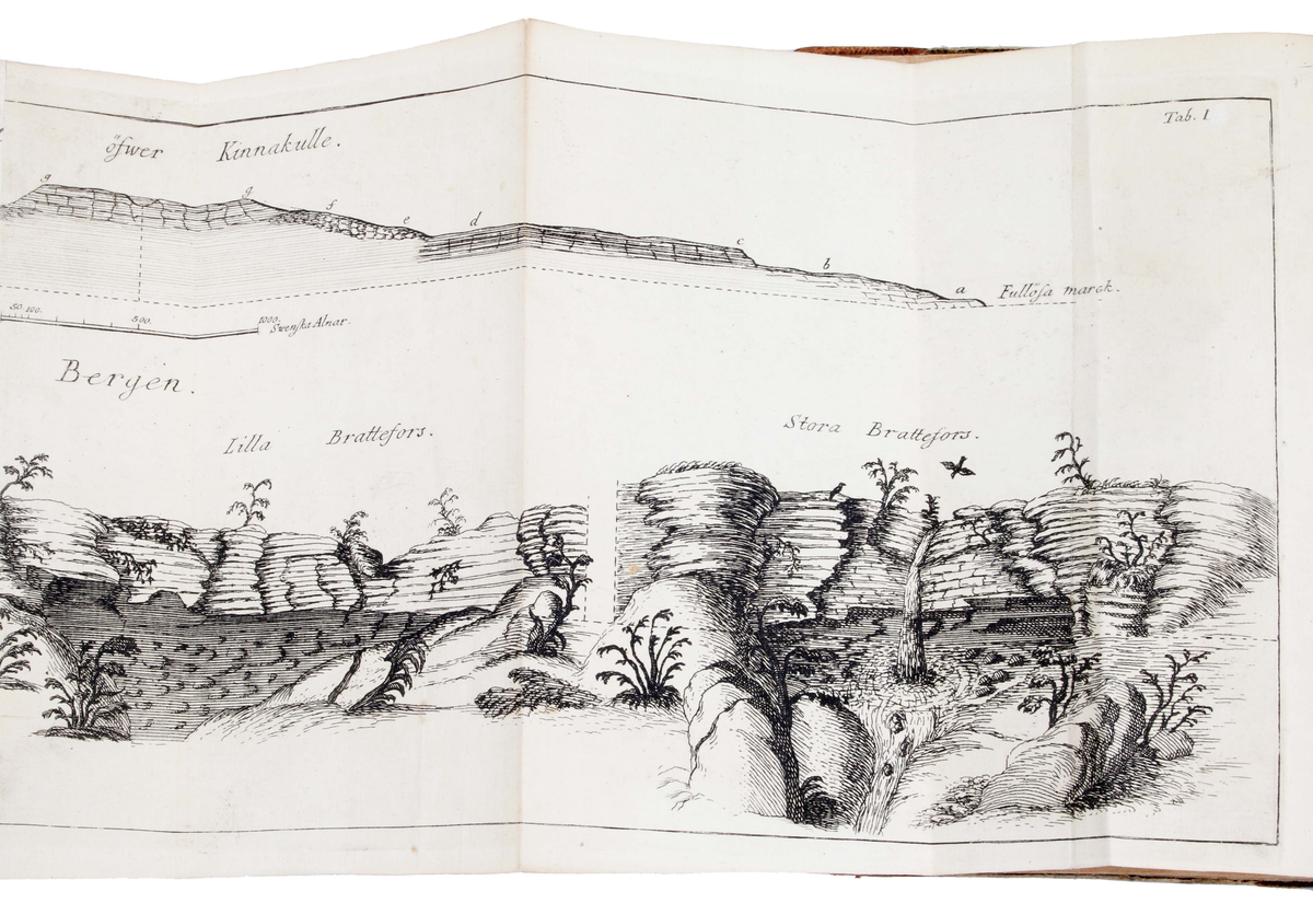 Trådbunden bok. Pappband. Fram- och baksida, med pålimmat brunspräckligt papper. Rygg och hörn klädda i brunt skinn. Bladen ljusbruna med svart text. Insidan med texten: "CARL LINNAEI Wästgöta=Resa på Stiftens högloflige ständers Befallning förättad år 1746..........Stockholm, Uplagd på LARS SALVII kostnad, 1747". Insidan även med utvikbar karta (kopparstick) över "Kinnekullebergen, Heflings kyrka, Hartorps klef, Lilla Brattefors, Stora Brattefors". Bruks- och åldersslitage.

Historik:
Carl von Linne föddes 13 maj 1707 i Råshult, Stenbrohults socken, Småland, död 10 januari 1778 i Uppsala, var en svensk botaniker, läkare, geolog och zoolog som lade grunden till den moderna nomenklaturen inom biologin och den moderna systematiken, som grupperar växter och djur. Många av hans skrifter publicerades på latin och därför återges hans latinska namn som Carolus Linnæus. (Wikipedia)

År 1746 begav sig Carl von Linne på uppdrag av riksdagen ut på den expedition till västra Sverige som året därpå resulterade i Carl Linnaeus Västgöta Resa - ett något missvisande namn eftersom resorna och boken, dessutom omfattar Bohuslän, Dalsland och Värmland.

Boktryckaren Lars Salvius, född 1706 i Stigtomta socken, död 1773, var en svensk boktryckare, bokhandlare och tidningsman. Salvius har varit en av de mest betydelsefulla personerna inom svensk bokhistoria. Innan Salvius tid skedde boktryckningen i en liten skala och bokhandeln dominerades av tyskar. (Wikipedia)