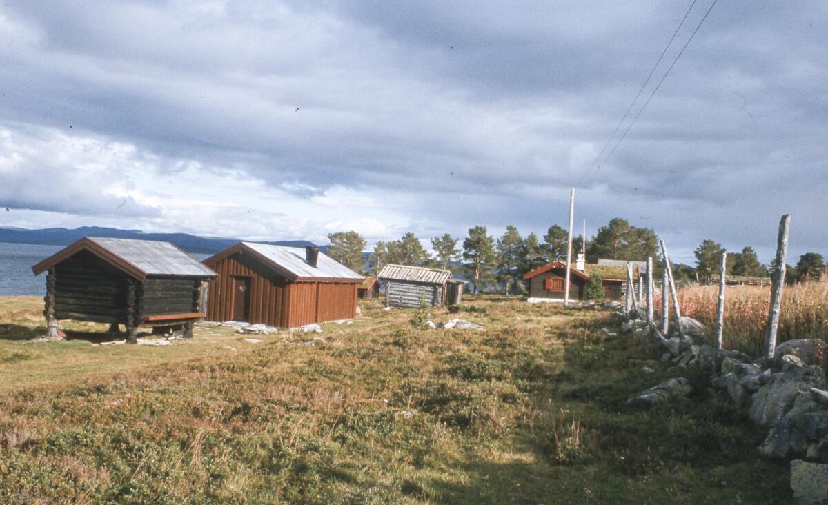 Buvika. Engerdal. 1980