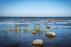 Resa till Estland och Lettland för projektet Flykten från Ba