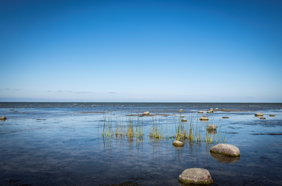  Resa till Estland och Lettland för projektet Flykten från Baltikum.