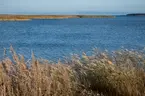 Resa till Estland och Lettland för projektet Flykten från Baltikum.