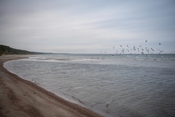 Resa till Estland och Lettland för projektet Flykten från Ba